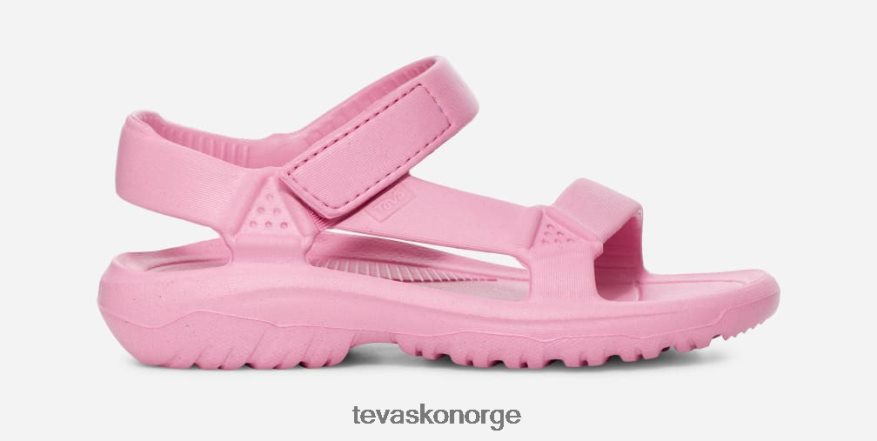 Teva små barn orkandriftPJ64Z4345 roseblomst