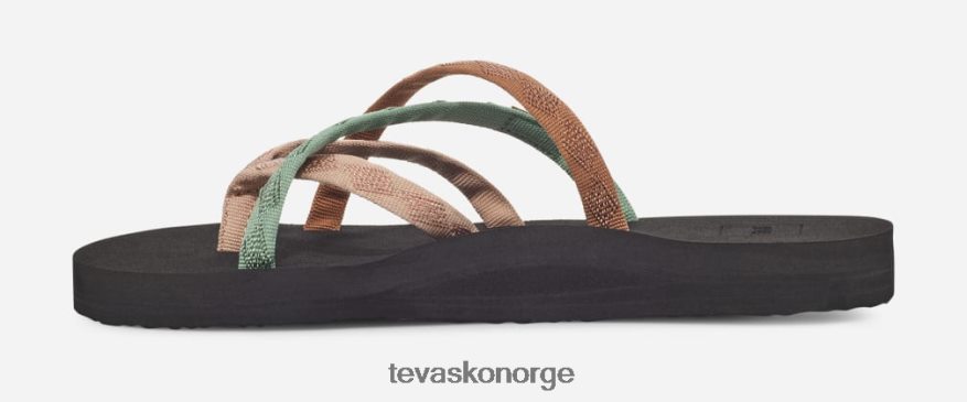 Teva kvinners lowahuPJ64Z442 blandet b lønnesukker multi