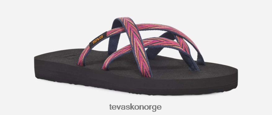 Teva kvinners lowahuPJ64Z446 palmer indigo/rosefiolett
