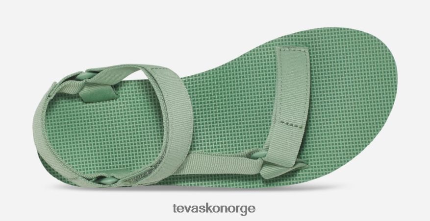 Teva kvinners midform universellPJ64Z428 basilikum