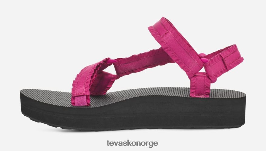 Teva kvinners midform universell prydPJ64Z496 rosefiolett