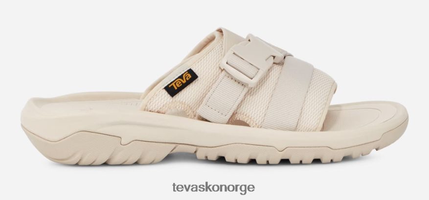 Teva menns orkanskredPJ64Z4248 bjørk