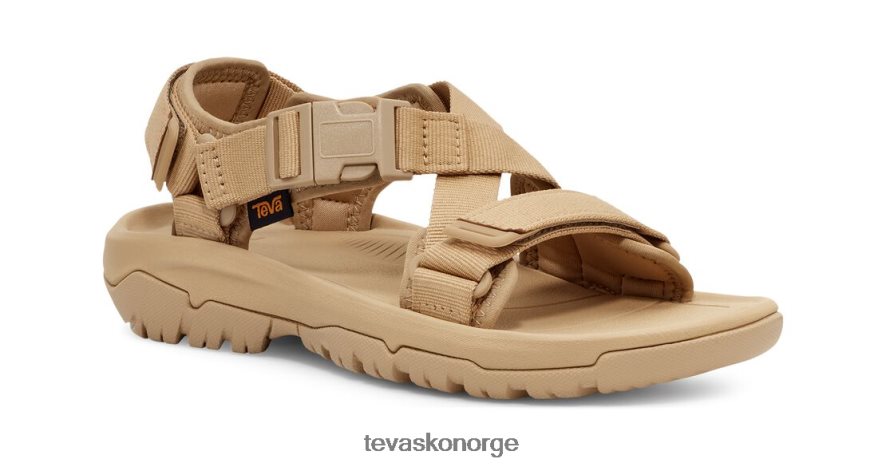 Teva randen av orkanen 64204H181 fottøy sjøstjerne