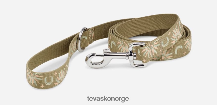 Teva hundebånd 25mmPJ64Z4211 sol og månealoe